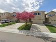 4603 chokecherry trl #4
                                ,Unit 4, fort collins,  CO 80526