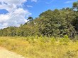 0 hwy 123 & co rd 30, newton,  AL 36352