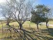  edcouch,  TX 78538