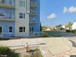  clearwater,  FL 33755