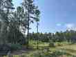  jasper,  TX 75951