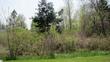 mt pleasant,  MI 48858