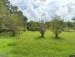 williston,  FL 32696