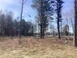  mears,  MI 49436