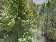 285 sweet gum dr, brookeland,  TX 75931
