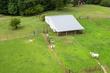 county road 4203, crane hill,  AL 35053