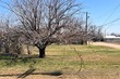 411 cherry, merkel,  TX 79536