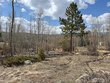 137 cimarron rd, red feather lakes,  CO 80545