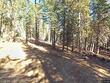  arnold,  CA 95223