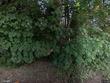 15735 ne browndale farm rd, aurora,  OR 97002
