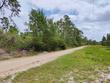  paisley,  FL 32767