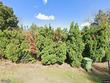 6817 se lamphier st, portland,  OR 97222