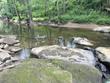 0 county road 1749, holly pond,  AL 35083