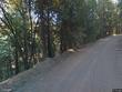  cedarpines park,  CA 92322