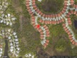 palm city,  FL 34990