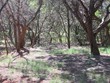 1334 dan moody st, buffalo gap,  TX 79508