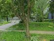 5905 hempstead rd, madison,  WI 53711