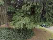 3344 se harvey st, portland,  OR 97222