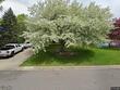 14120 frontier ln, burnsville,  MN 55337