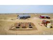 4549 aldridge rd, wellington,  CO 80549