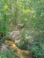 75 county road 4411, pittsburg,  TX 75686
