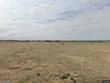 6963 stonebrook dr, timnath,  CO 80547