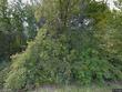  chesterfield,  MI 48051