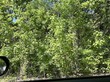 lot 2 co rd 1123, cullman,  AL 35058