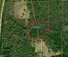 985 cr 2312, pittsburg,  TX 75686