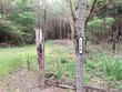 1290 guy branch road, cottonwood,  AL 36320