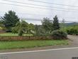 15317 s hattan rd, oregon city,  OR 97045