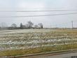 plymouth,  MI 48170