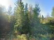  rudyard,  MI 49780