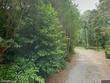 2481 county road 282, cullman,  AL 35057