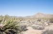  29 palms,  CA 92277
