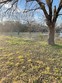  wylie,  TX 75098