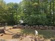 451 county road 949, crane hill,  AL 35053