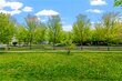 15850 elmwood ln, saint paul,  MN 55124