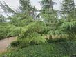 17157 s bradley rd, oregon city,  OR 97045