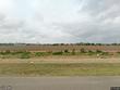  alamo,  TX 78516