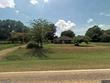 pittsburg,  TX 75686