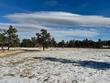 62 white slide mountain ct, livermore,  CO 80536