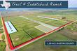 1137 saddleback dr, bellville,  TX 77418