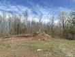  bessemer,  MI 49911