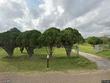 9707 via paseo, edinburg,  TX 78541