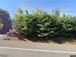 12803 se 222nd dr, damascus,  OR 97089