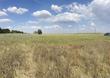 lot 8 blue lacy lane, anson,  TX 79501