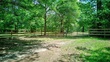 195 county road 916, buna,  TX 77612