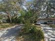  dunedin,  FL 34698