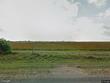 27188 fm 88, edcouch,  TX 78538